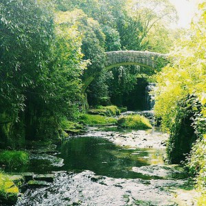 11821101_148502415485267_1402734217_n