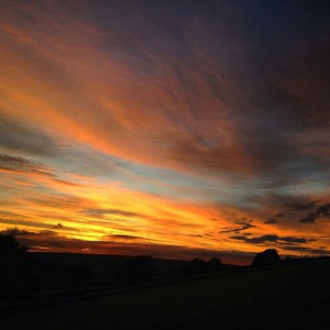 11821338_874252599318991_1442602439_n