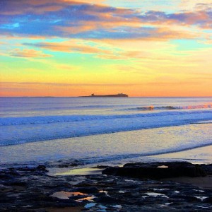 11849183_892593960820943_158502474_n