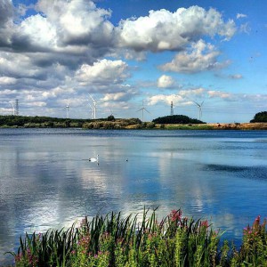 11881765_1012963048743741_1795026021_n