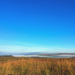 11881918_868301989914390_1612695883_n