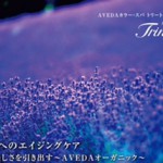 YCP23トリニティ+