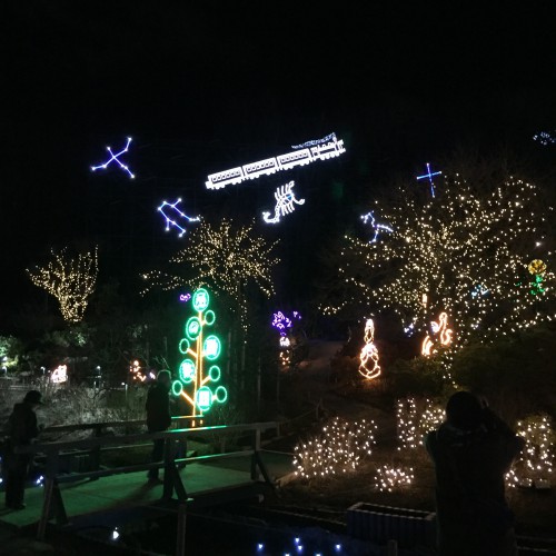 42E21472-D89A-445E-8A6E-A59A6BC8AA9E