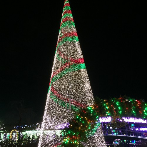 ABA0AC8A-CAF0-49D1-AF34-186E65286495