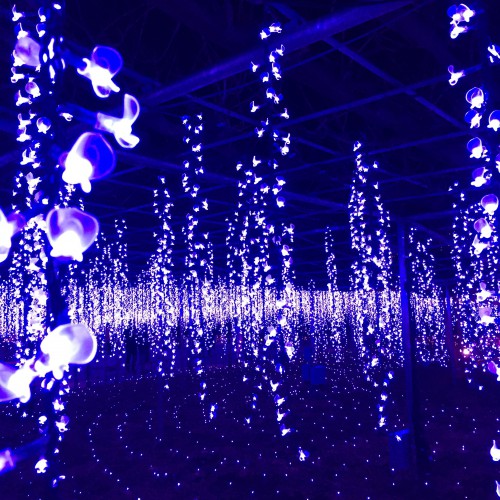 BE09E2B5-8374-40E5-8914-98F9D940FC75