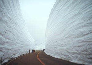 438612F9-B1B3-48ED-925A-FA0BAEB1AEAB