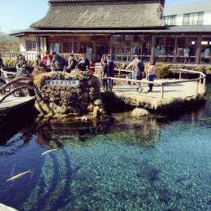 C216D278-AECB-41C3-A44A-FE0AC487DE48