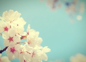 1F797D45-D3C3-4C9A-A94D-2410BB03CF53