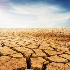 27E1C1EA-EE96-4168-8228-BBB4429EBF91