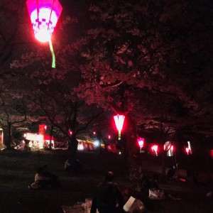 475A3288-8E9B-4F2C-ABA5-2602FE997F82