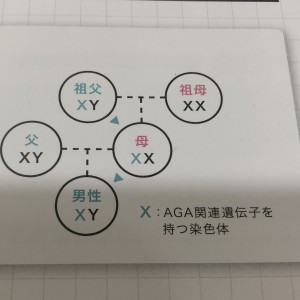 1940D0DB-5794-4FEA-BB44-8A445A4C032D