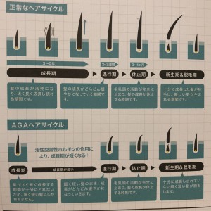 DE2C2806-D966-47DB-BB73-BE2E82AFC39F