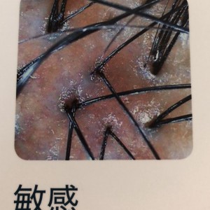 3E47E31B-5F04-40F6-8C44-C94FD7FA83B2