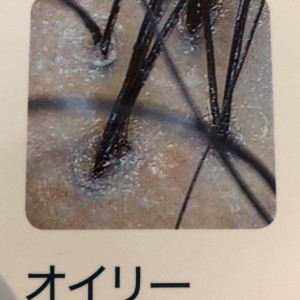 9BE341DA-50BC-4909-8443-B185D797056B