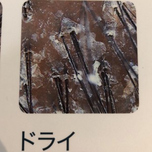 E0E292C6-CAAC-41C7-8BEF-220C578B439E