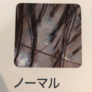 E5543810-1293-4017-A1FD-1ABA3945D817