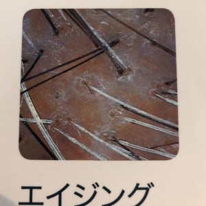 E8CAFE91-2190-42A8-8376-B5D519AEF2F0