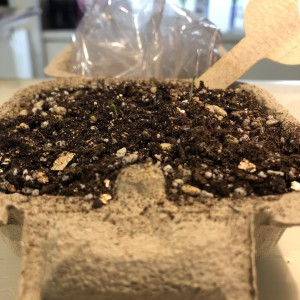 05735F78-C9E7-4790-BEDB-8F213AE461A0