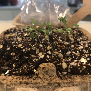 661F6ABE-9C12-4FB6-A626-EE90F1DACB0A