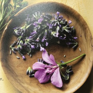 9C5087C1-1CFE-4873-AC28-210968A5B24D