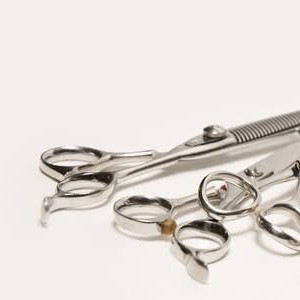 692E831F-0432-4218-BB74-30951EC381C6