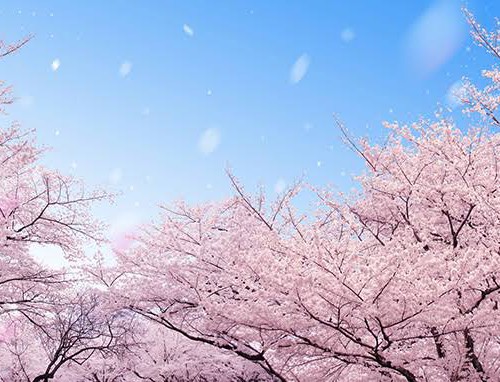 32949C3E-FFEC-43BB-919D-D0F51A6FE253