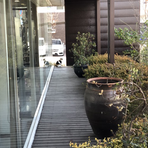 D3FEBAC7-2861-4C44-8FF1-B0011955741B