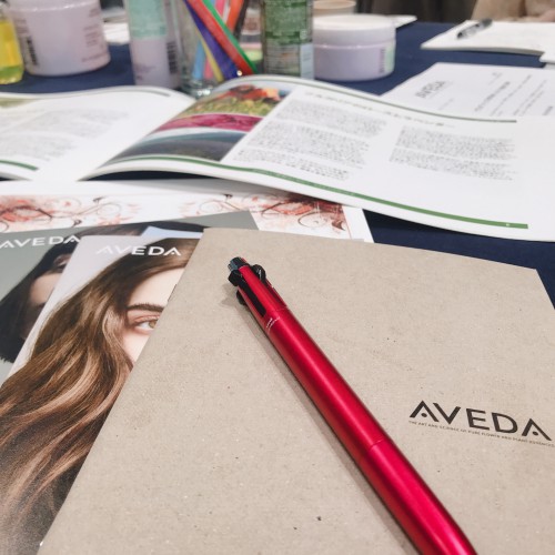 F20195DD-13D1-461B-B7BC-EEDD0A84E751