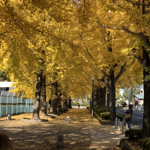 CD204EB0-A768-4309-AB18-4D8017481A92