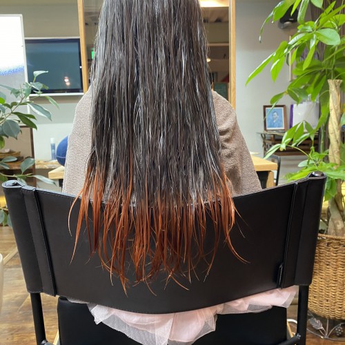 11E7C05D-2010-4D53-9C91-235201C18585