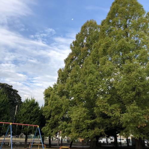 6A677981-5EC4-4D8B-9C13-137D2C312C6A