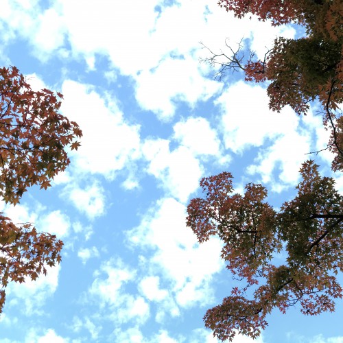 B2A72F9C-F543-4E61-BE9A-7F532C8F8C92