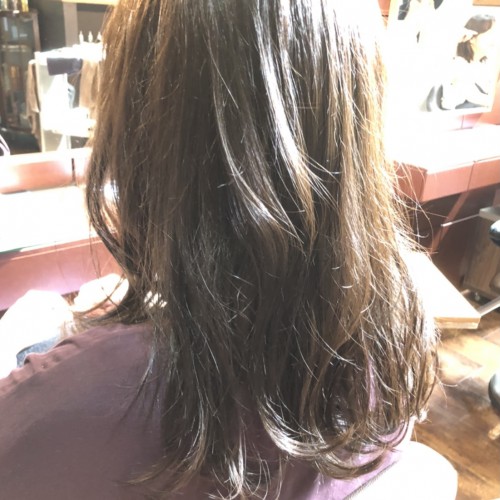 C95A9777-EE58-478D-A40B-454D3603AFEC