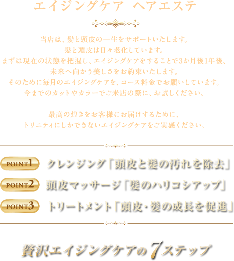 エイジングケア ヘアエステのポイント