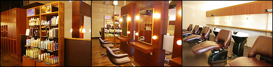 salon photo